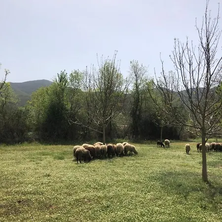 Poliani Village 컨트리하우스