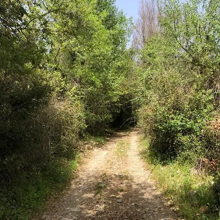Poliani Village *