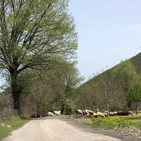 컨트리하우스 Poliani Village Poliána