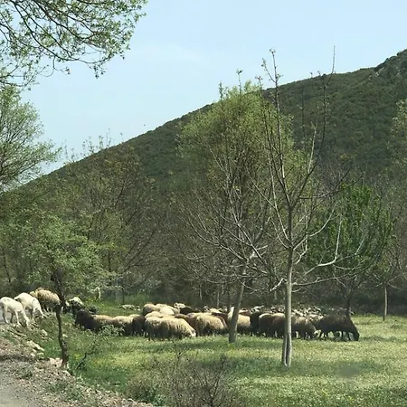 컨트리하우스 Poliani Village Poliána